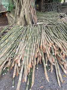 เสาไม้ไผ่เป็นมิตรกับสิ่งแวดล้อมสำหรับการก่อสร้างที่ยั่งยืน การตกแต่งภายใน และการเกษตร ในราคาโรงงาน - Product Image 4