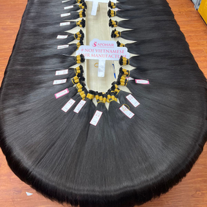 Cheveux vierges Remy vietnamiens birmans non transformés à cuticule droite naturelle alignée crue de vendeurs de cheveux humains - Product Image 1