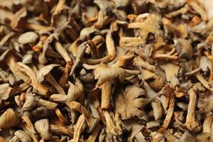 Croustilles de champignons artisanales de qualité supérieure Shiitake Pulmonarius Sajor Caju Pink Notaky Export - Product Image 4