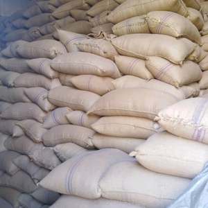 เมล็ดงาดำออร์แกนิก สดและแห้ง แบบผงสำหรับปลูก - Product Image 1