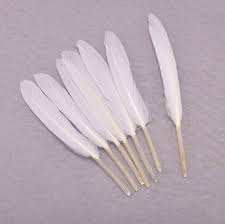 Plumas de pato teñidas vibrantes para vestuario y diseño del hogar al por mayor-para sombrerería y fines decorativos - Product Image 6