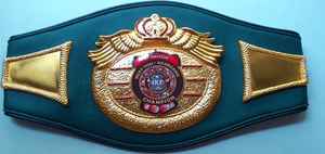 Ceintures de championnat de boxe Trophées Médailles et récompenses le symbole ultime de la victoire et de l'excellence Ceintures de championnat - Product Image 4