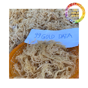 Sun-drying Sea Moss Carefully Selected Seaweed for Industrial Food Use - Product Image 5
