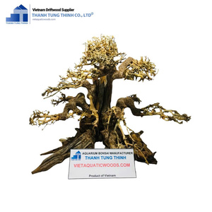 ต้นบอนไซธรรมชาติสำหรับประดับบ้าน - Product Image 2