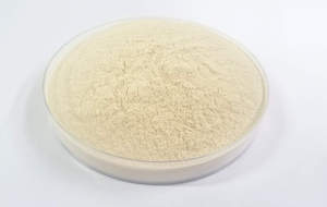 เวียดนามส่งออกผงคาราจีแนนในปริมาณมากในราคาถูก - Product Image 5