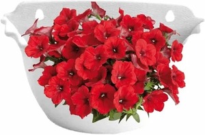 Iron <b>Wall</b> Hanging Pocket <b>Planter</b> New Arrival Indoor Outdoor Home <b>Garden</b> Flower Pot with Red Powder Coat Finish Plain Design - Product Image 2