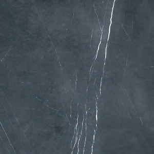 Azulejos de Decoración de Interiores de Primera Calidad, Fabricación en India para Villas de Lujo. - Product Image 4