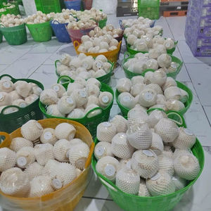 Fournisseur vietnamien de noix de coco fraîche avec HACCP/Global GAP - Product Image 1