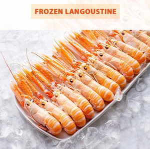 กุ้งล็อบสเตอร์แช่แข็ง - ผู้จัดจำหน่ายกุ้งล็อบสเตอร์แบบขายส่งจำนวนมาก - Product Image 6