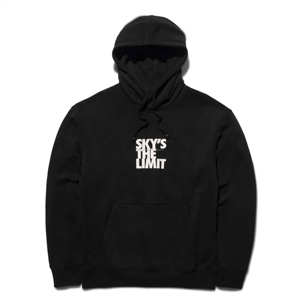 Sweat à capuche court hommes échantillon gratuit poids lourd éponge français surdimensionné épaule sérigraphié Streetwear à capuche pour hommes - Product Image 6