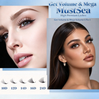 Nouvelles extensions de cils pré-faites en éventail 320, 3D-24D, courbure C/D/M, 0.07, naturelles et volumineuses, noir mat, 8-16mm, personnalisables