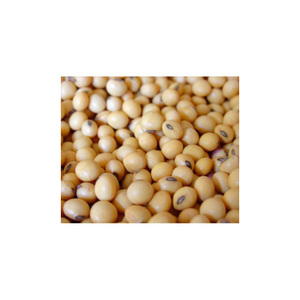 Soja sin OGM disponible a precio barato/soja de alta calidad/soja amarilla sin OGM de calidad superior con alto contenido de proteínas - Product Image 3