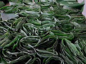 FEUILLES DE BANANE VERTES ET NATURELLES/USAGE TRADITIONNEL/PREMIUM VALEUR/FABRIQUÉ AU VIETNAM - Product Image 2