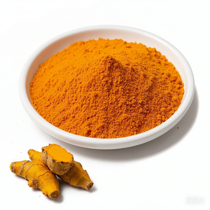 Extrait de curcumine en poudre 100 % ultra pur OEM/ODM, extrait végétal 95 %, extrait de racine de Curcuma longa biologique et naturel en poudre, provenant d'Inde - Product Image 2
