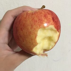 Chứng Nhận Tươi Một Lớp Granny Smith Táo Đức Ngọt Ngào Giòn Hương Vị Bán Buôn Xuất Khẩu - Product Image 1