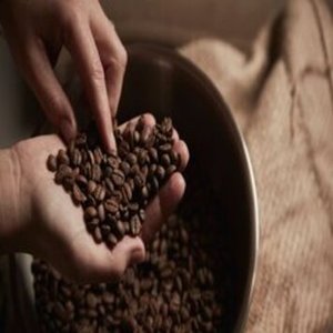 Café en grains Arabica biologique, torréfaction légère, goût neutre, caféiné, certifié ISO 22000, stockage à sec, grains de café torréfiés - Product Image 6