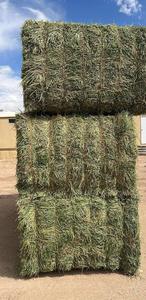 หญ้าชนิตสำหรับม้าและวัวควายอาหารสัตว์อายุการเก็บรักษา12เดือนบรรจุในถุง - Product Image 2