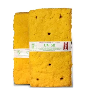 مواد خام مطاط طبيعي أصفر بجودة عالية SVR CV 50 (TSR CV) شرائط لباد خشبية مصنوعة في فيتنام