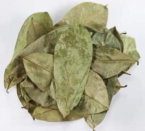 PRODUCTO DE TÉ NATURAL A PARTIR DE HOJAS DE URENSA SECA, VIETNAM, SABOR DE TÉ ÚNICO Y SUAVE - Product Image 6