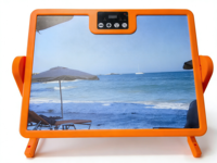 Táctil, Ajustable, Temperado, 30 ℃ -75 ℃   Calentador Infrarrojo Lejano de 200W para Gallinero