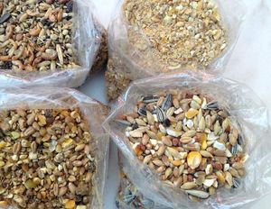 Polvo de proteína de gusano de la harina desgrasada pura de alta calidad, extracto de Animal certificado Halal para suplementos alimenticios, venta al por mayor - Product Image 6