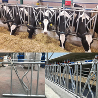 Nouveaux systèmes d'alimentation pour bétail Kocaksan-Sayginlar, système de verrouillage pour mangeoire animale, insertion bidirectionnelle, galvanisé/non peint noir