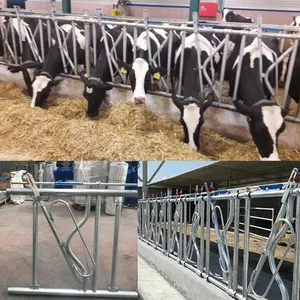 Cattle Feeding Systems Animal Feeder Lock System