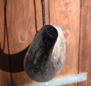 แตรเป่าแบบนอร์สขัดเงาเป็นมิตรกับสิ่งแวดล้อม ทำจากเขาควายธรรมชาติ พร้อมสายหนัง - สไตล์ฮวงจุ้ยและศาสนา - Product Image 5