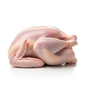 Oferta exclusiva Carne de pavo congelada Cortes enteros y en porciones disponibles para compras a granel y necesidades globales de la industria alimentaria - Product Image 4
