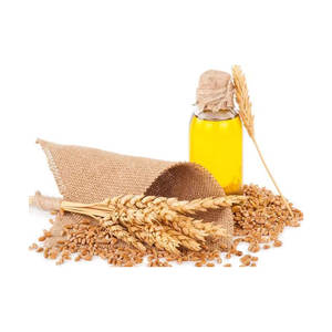 Aceite de germen de trigo a base de plantas naturales 100%, portador de aceite de semilla negra prensado en frío de fabricantes para el cuidado del cabello corporal - Product Image 6