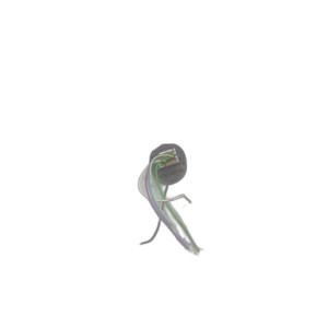 Interruttore di Arresto Motore NISSAN Serie Juke (F16) 7Z14SN K9K646 Diesel 1461 (19>) - Product Image 2