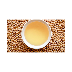 Exportateurs de soja/soja Soja jaune biologique sans OGM de qualité en gros de haute qualité Soja délicieux - Product Image 6