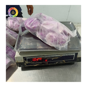 Ñame Morado Congelado Rallado, Ñame Morado Entero Congelado IQF, Ñame Blanco Congelado en Rodajas y Rallado para Compradores al Mejor Precio - Product Image 6