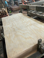 Contreplaqué de Chambre Kego de Haute Qualité avec Placage Bois de Bouleau et Pin, Épaisseurs 2.7mm, 3mm, 5mm, 18mm, Garantie 5 Ans, Double Face, Norme E2