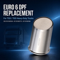 Filtro Antiparticolato Diesel Euro 6 DPF 81151030164 81151030175 per Camion TGX TGS A10-0012