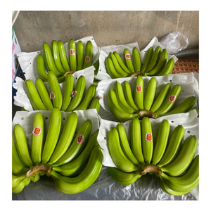Plátano Cavendish fresco-Plátano verde fresco para exportación-Frutas y verduras frescas de alta calidad de Vietnam - Product Image 2