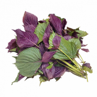 Daun Perilla Segar 100% Alami / untuk Salad dan Hiasan / Dibuat di Vietnam