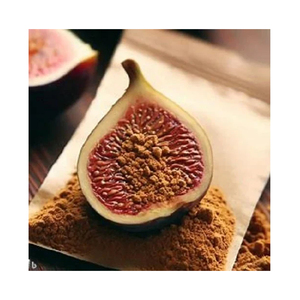 Herbojit International Indian Manufacturer Supplied High Quality Natural Spray-Dried <b>Fig</b> Extract Powder Healthy Food Additive - Product Image 4