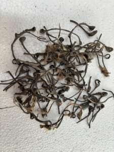 Fibre de soie brute en vrac, soie sauvage naturelle brune, 100% fibre de soie, longues fibres, haute résistance, fil à tisser, textile durable - Product Image 3