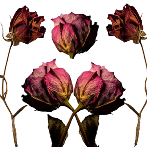 ดอกกุหลาบสีแดงแห้ง | กลีบดอกอเนกประสงค์สำหรับความหอมและผ่อนคลาย - Product Image 3