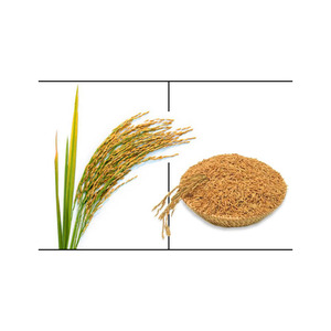Precios al por mayor Alimento para ganado de calidad fresca Grano puro Salvado de arroz Semillas de mostaza amarilla Última llegada Semillas para alimentación animal - Product Image 6