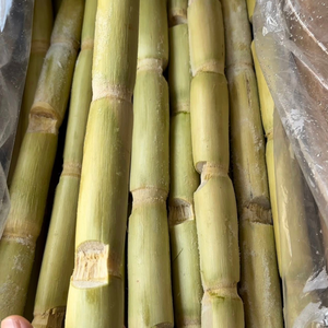 CANNE À SUCRE CONGELÉE | PUR ET NATUREL | COLLATION IMMUNITAIRE - Product Image 5