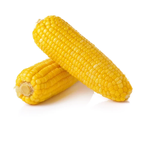 Maíz Amarillo Seco Premium a Granel, Calidad de Cosecha Ideal para Nutrición de Ganado, Uso Industrial, Listo para Exportación, Pureza Consistente - Product Image 5