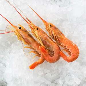กุ้งสีแดงแช่แข็ง | หัวบนเปลือก-บน - Product Image 3