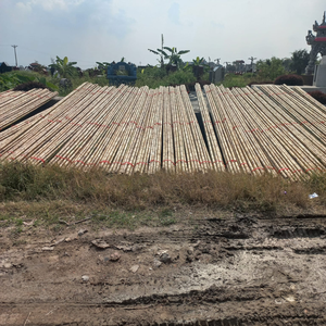 Professional Custom Size <b>Bamboo</b> Garden Stakes Eco-Friendly and for Gardening Use Made From <b>Bamboo</b> <b>Raw</b> <b>Materials</b> and Strips - Product Image 2