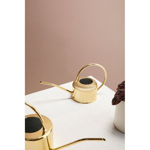 Regadera pulida de acero inoxidable más vendida, rociador de Metal rústico, plantas de vivero de jardín interior, revestimiento de latón brillante - Product Image 2