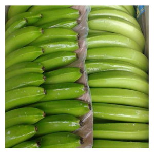 100% naturel frais vert banane Cavendish longueur 17 - 25cm bons prix pour l'exportation de bananes du Vietnam - Product Image 2