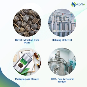 Aceite esencial de Cubeb puro y natural 100% en embalaje personalizado a granel para suministro OEM de atención médica - Product Image 4