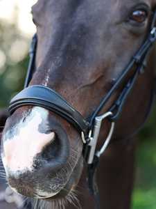 Anatomic Drop Noseband Brida Multifuncional Estilo occidental Caballo Halter Brida Mate Acabado Cuero Suministros ecuestres - Product Image 4