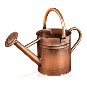 Design Simple Bronze Maison Jardin Arrosoir Vintage Eau Servant Aux Pots Idéal Pour L'irrigation De Jardin Fournitures Décoratives - Product Image 1